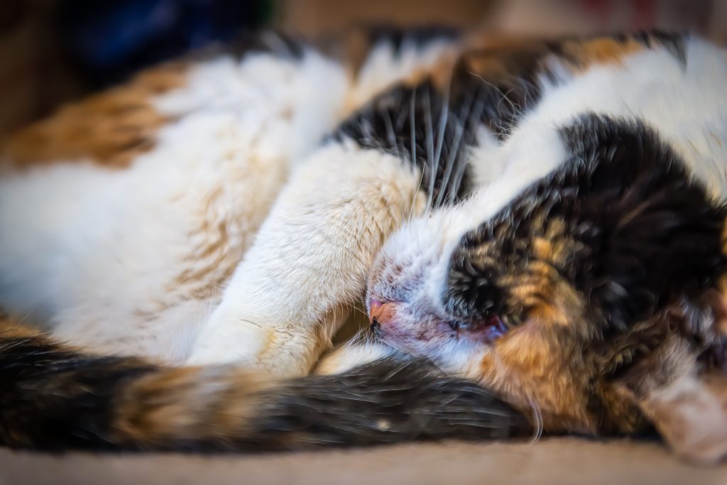 AdobeStock 542024820