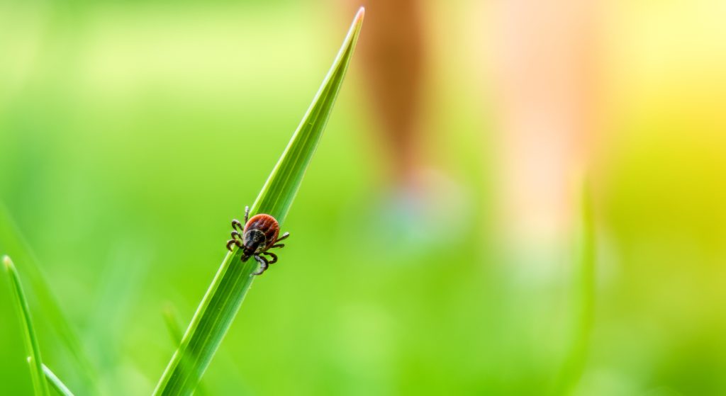 AdobeStock 1265587010