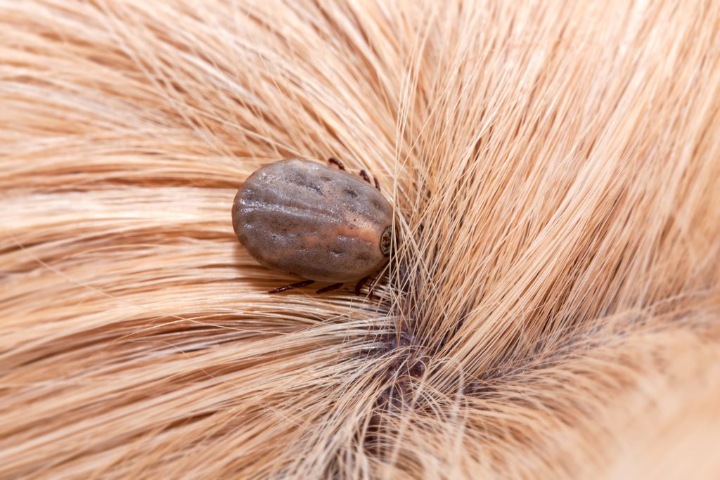 AdobeStock 314475690