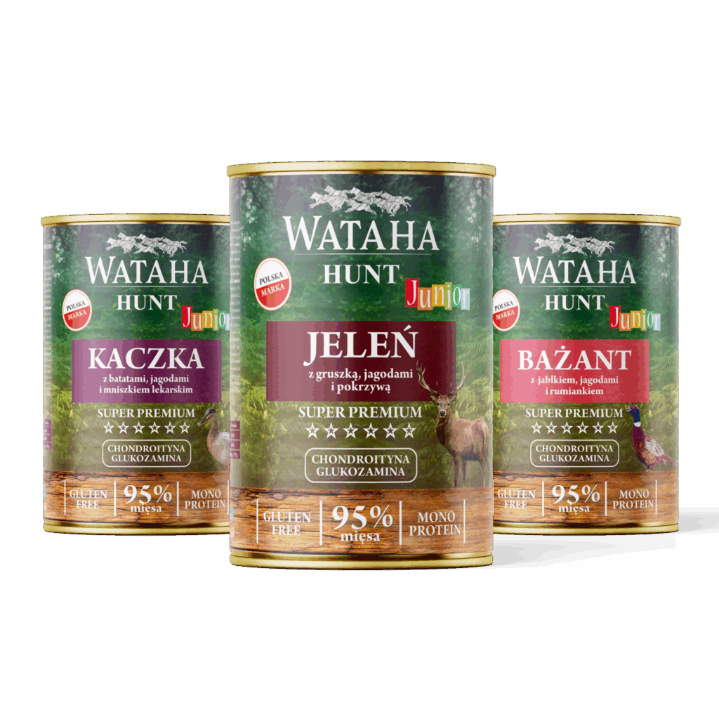 pet expo WATAHA HUNT Junior 1