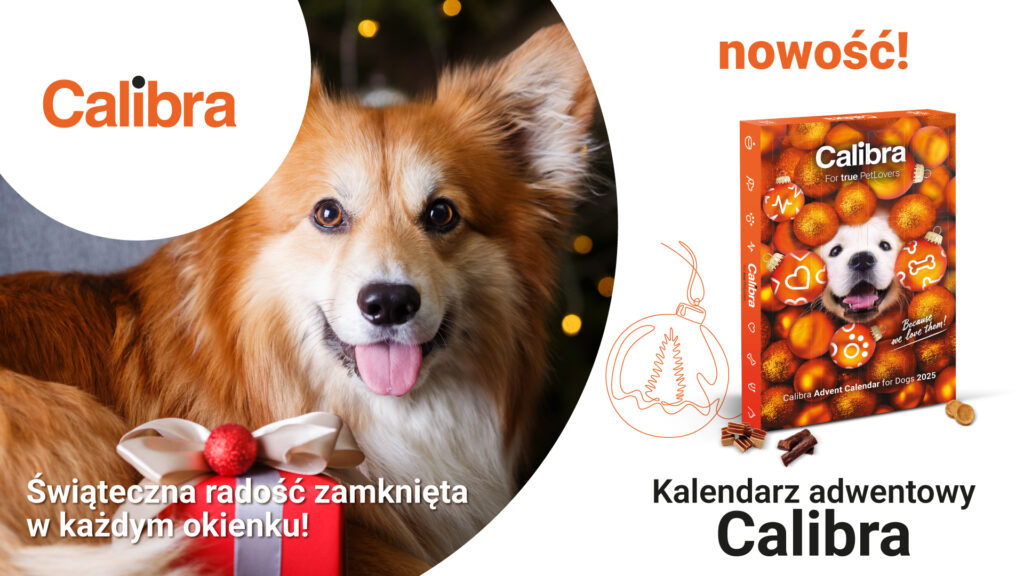2025 10 27 Callibra kalendarz Adwentowy 1920x1080