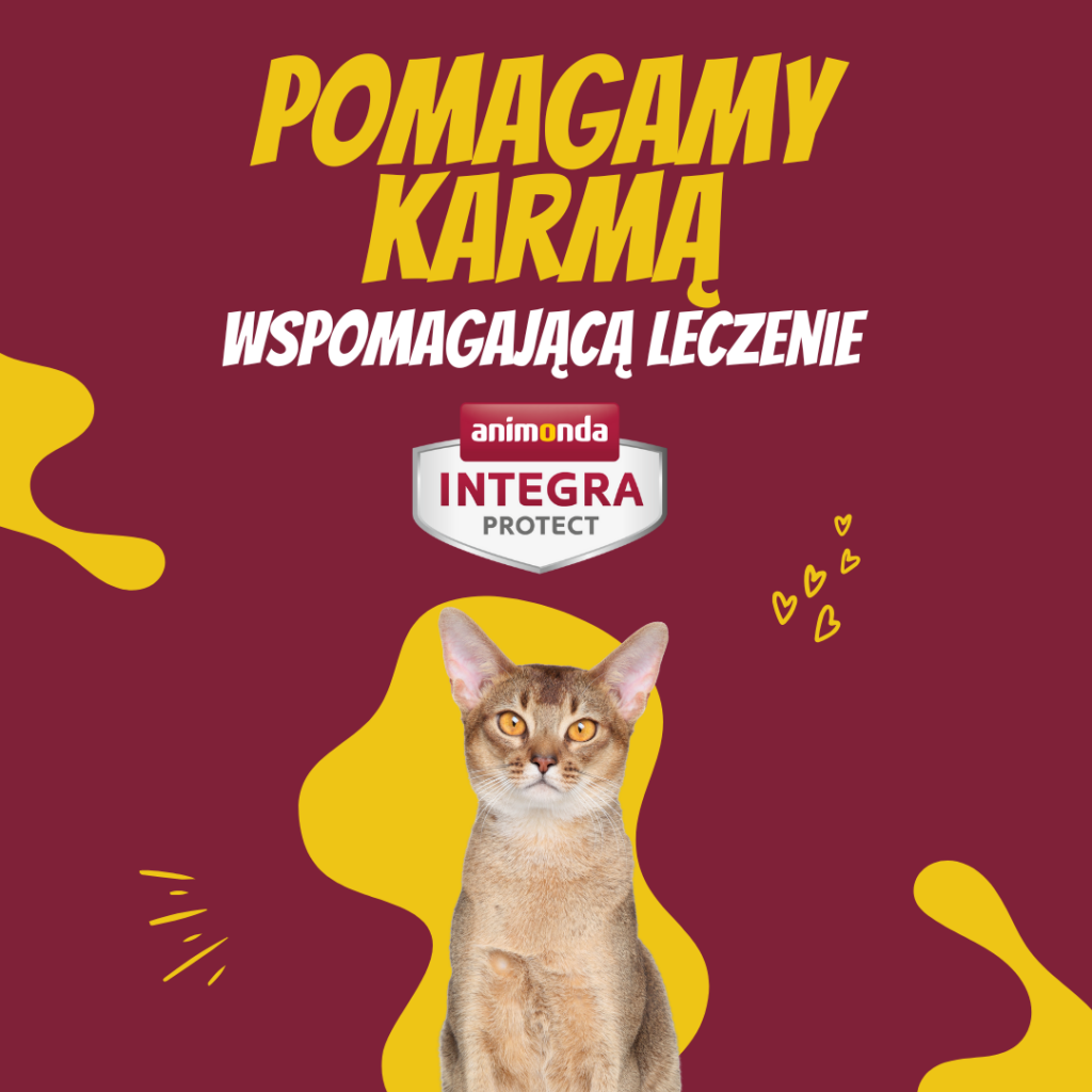 Animonda Integra Protect – specjalistyczna dieta z misją 4 Grafika kwadrat 1080 x 1080 px