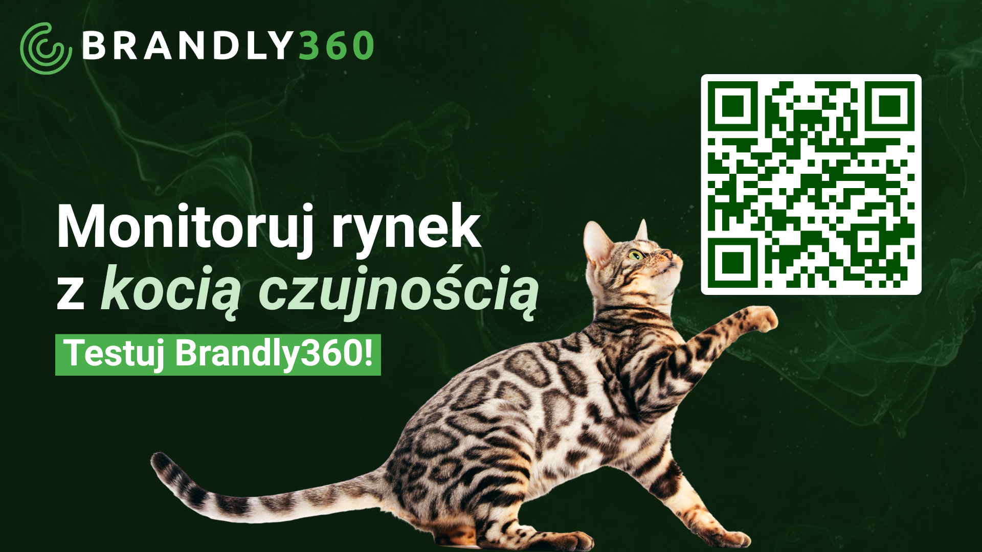 Brandly360 grafika2