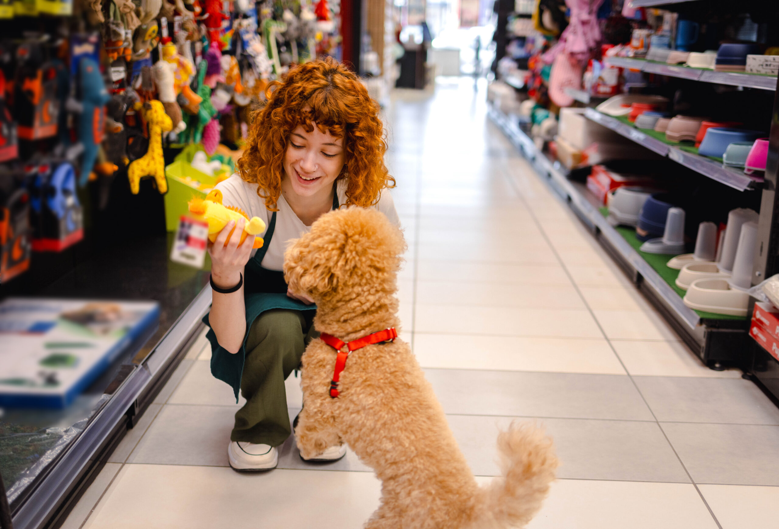 sklep zoologicznt scaled