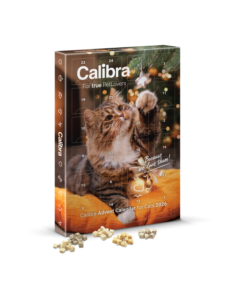 CALIBRA AdventCalendar2026 CAT 3 26 3D vizualizace 1 1