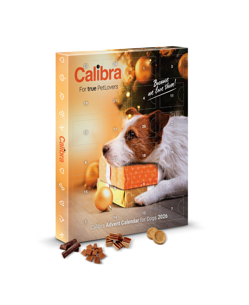 CALIBRA Adventni kalendar vizual 2026 1