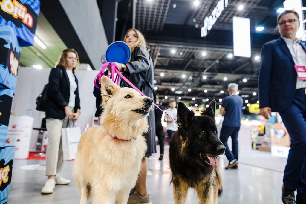 Pet Expo 2026 230 z 668
